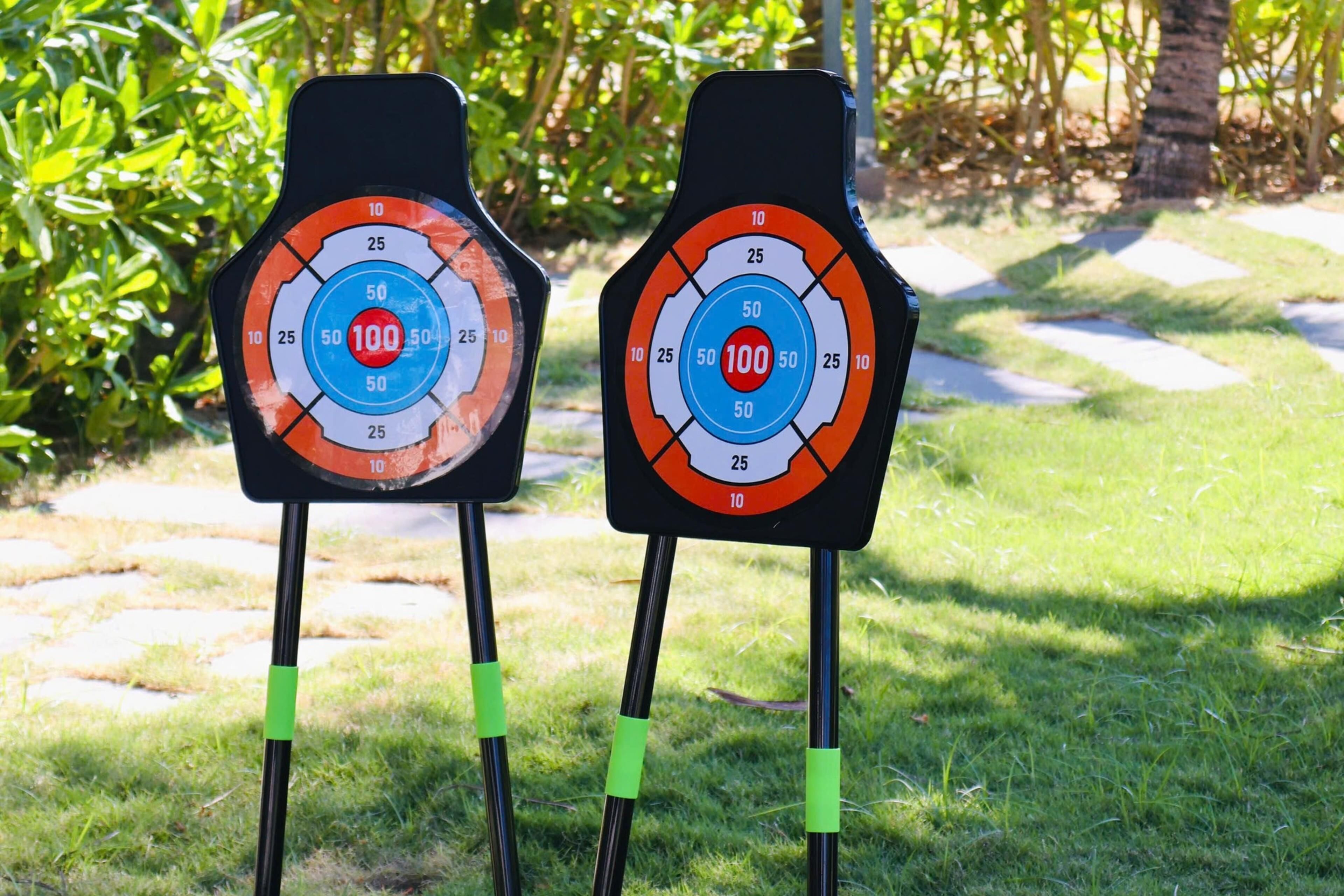 Two archery targets with concentric circles and a central bullseye marked '100'.