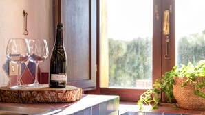Une bouteille de vin Torbato et deux verres sont posés sur une planche en bois, sur un comptoir de cuisine, avec une fenêtre en arrière-plan.