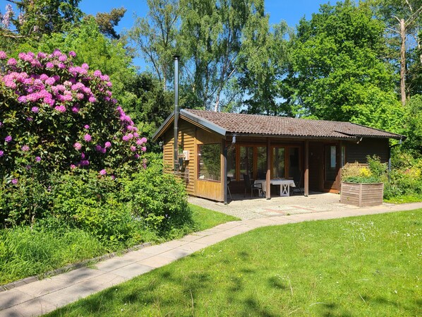 Exterior - Vacation cottage Voigt (Hude)