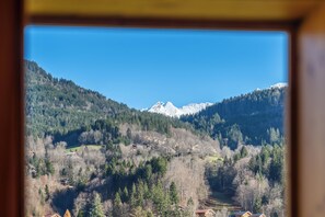 Interior - Cosy and spacious 3* apartment, close to the slopes. Pets welcome! (Saint-Jean-de-Sixt)