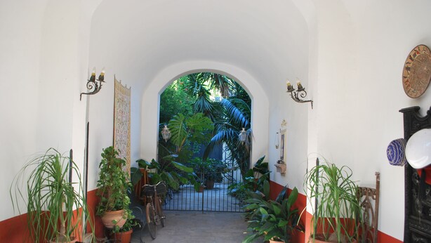 An arched entrance with potted plants, a bicycle, and a gate leading to a lush garden. - Volta House (Palermo)