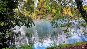 A serene lake surrounded by dense foliage. - Harmony of romance and nature for two, in a double bedroom (Miskolc)