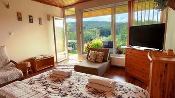1 bedroom, iron/ironing board, WiFi, bed sheets