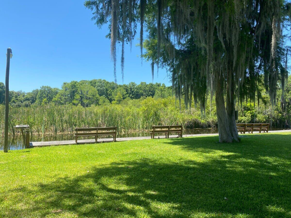 Parco della struttura