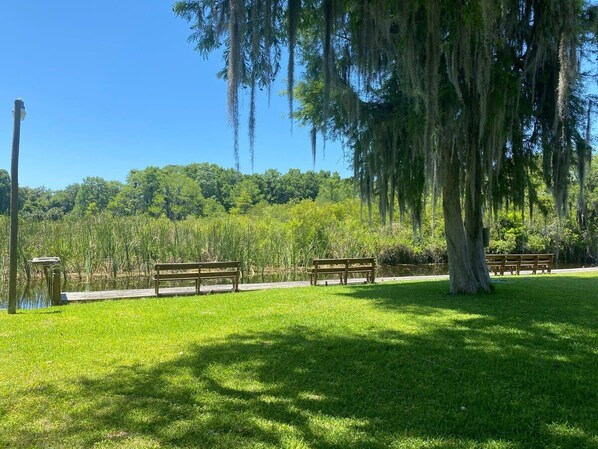 Unclassified image, 1 of 35, button