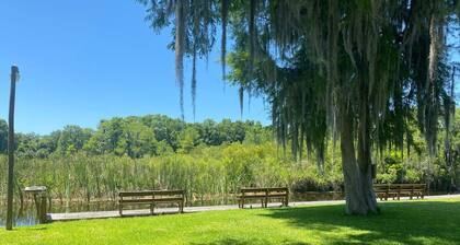 Professor Rousseau's Racing Paddock