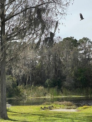 Unclassified image, 4 of 35, button