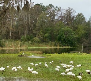 Unclassified image, 5 of 35, button