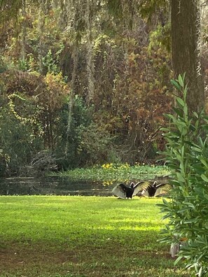 Unclassified image, 5 of 32, button