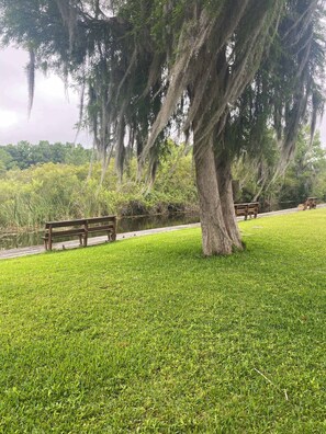 Uklassifisert bilde, 2 av 33, knapp