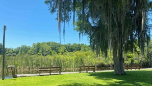 A park with benches, a wooden walkway, and a pond surrounded by trees. - Professor Rousseau's Sea Turtle Sanctuary (Crystal River)