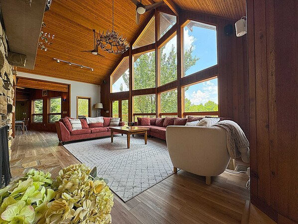 TV, fireplace, stereo, offices