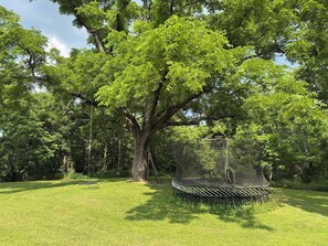 Property grounds - Grace Woods Historic Rustic Cabin | Pond access |  220-year-old log cabin (Rising Sun)
