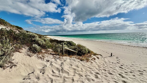 A beach with a sandy path leading to the water, a wooden fence, and a clear view of the ocean. - Joondalup Hidden Villa Gemma w Pool! (Heathridge)