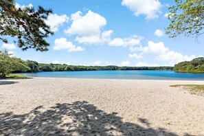 A beach with clear blue water, sandy shore, and green trees.