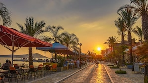 A paved walkway with outdoor seating, palm trees, and a sunset in the background.