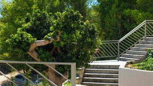 A staircase with a metal railing, surrounded by greenery and a stone wall. - Arya Hotel (Kassandra)