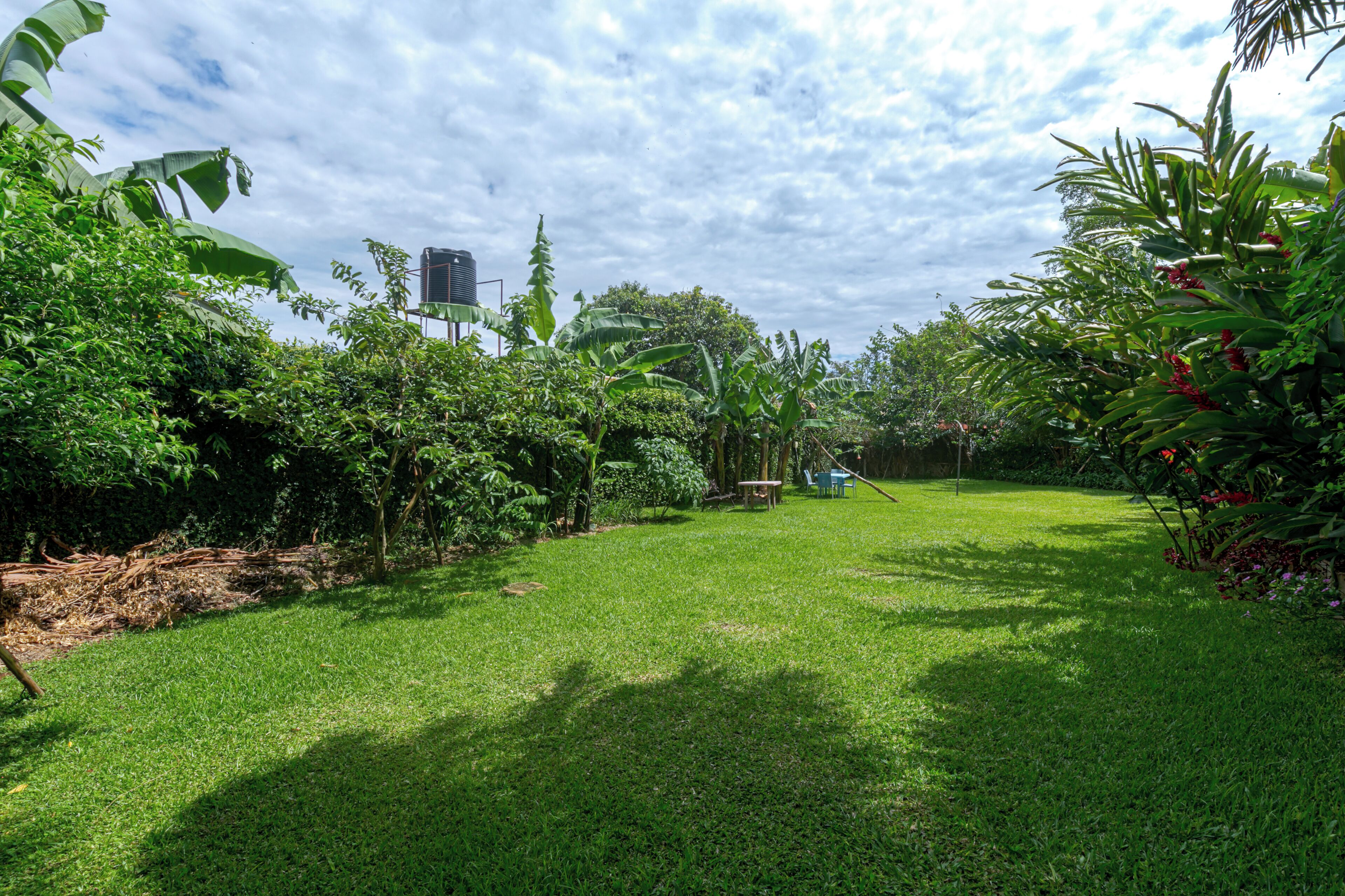 A lush green garden with a variety of plants and trees, a clear sky, and a water tank in the background.