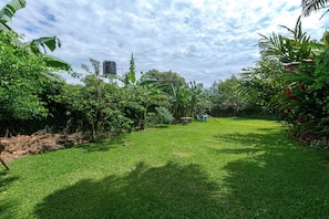 A lush green garden with a variety of plants and trees, a clear sky, and a water tank in the background.