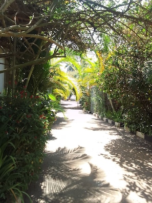 A pathway lined with various plants and trees, leading towards a distant structure. - Dream Jet Suites (Entebbe)