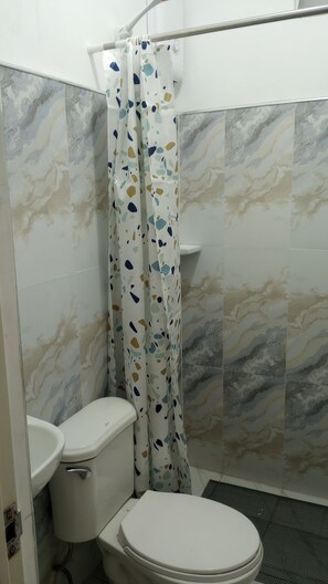 Shower, hair dryer, bidet, towels