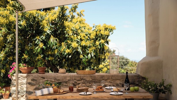 Uma mesa de madeira posta com pratos, copos e uma garrafa, rodeada por plantas em vasos e uma parede de pedra.