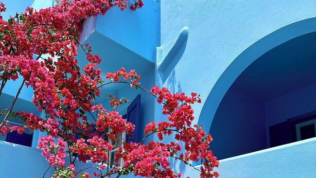 Een gebouw met blauwe muren en felroze bougainvillea.