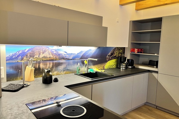 Kühlschrank, Ofen, Herdplatte, Geschirrspüler