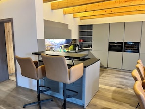 Fridge, oven, stovetop, dishwasher - Stadtloft Wittichenau with sauna in the Lusatian Lakeland (Wittichenau)