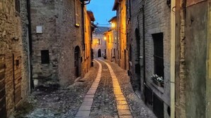 A narrow cobblestone street flanked by historic stone buildings with arched doorways and small windows. - Residence "The Castle" 1  (Castell'Arquato)