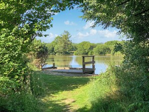 Unclassified image, 2 of 14, button