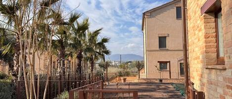 A courtyard with a paved walkway, palm trees, and a brick building.