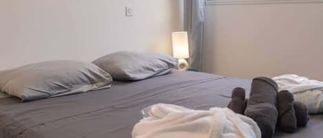 2 slaapkamers, een strijkplank/strijkijzer, reisbedje, wifi