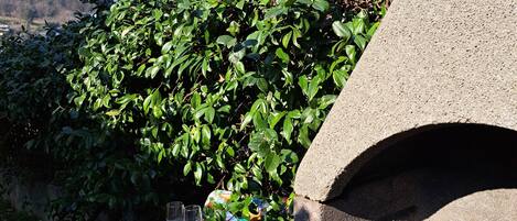 Àrea exterior de l'allotjament