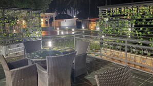 Un patio al aire libre con mobiliario de mimbre y una mesa de vidrio, rodeado por una barandilla metálica con plantas verdes.