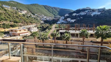 Vista del balcón