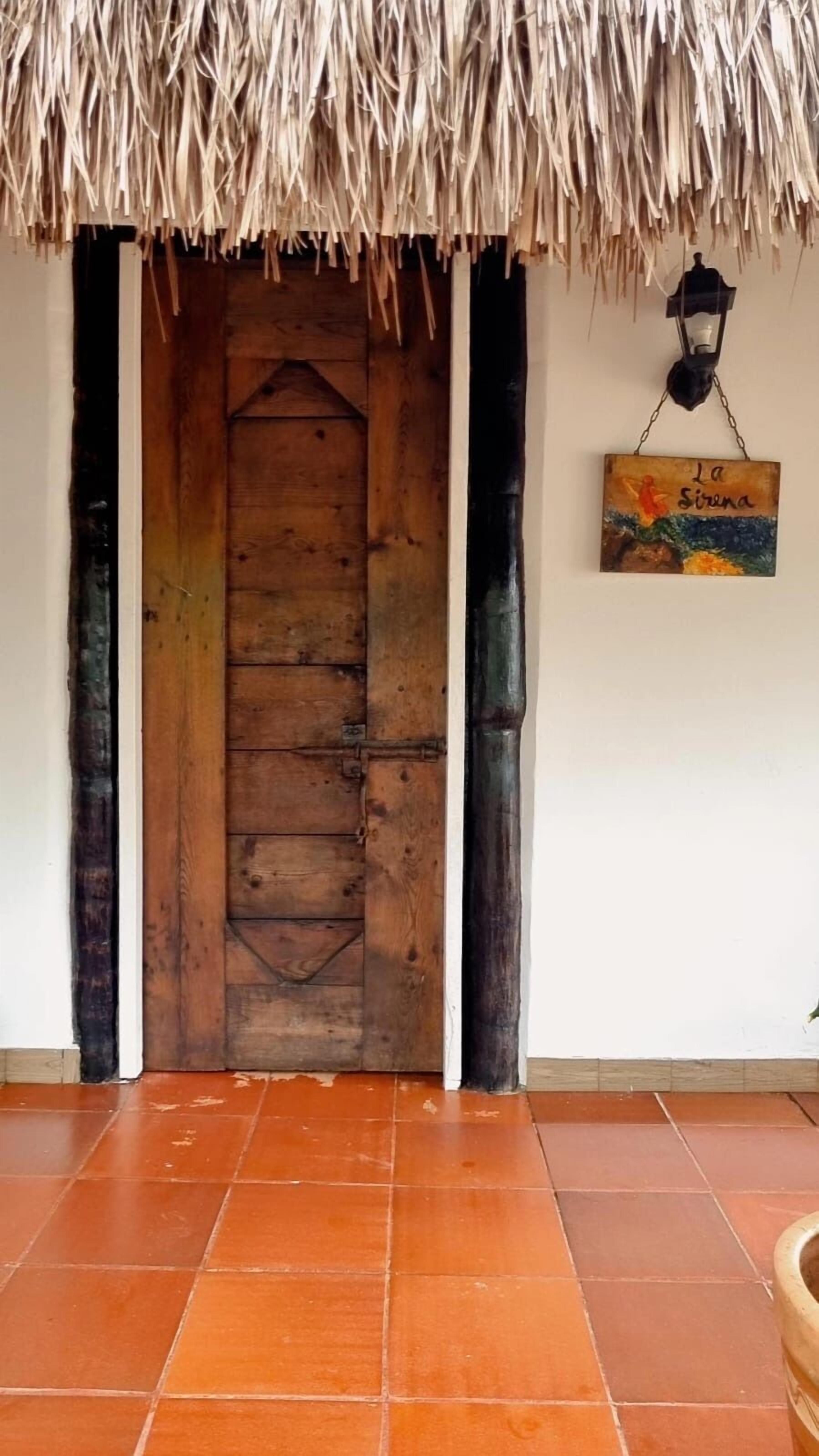 Foto - El refugio del tiburón