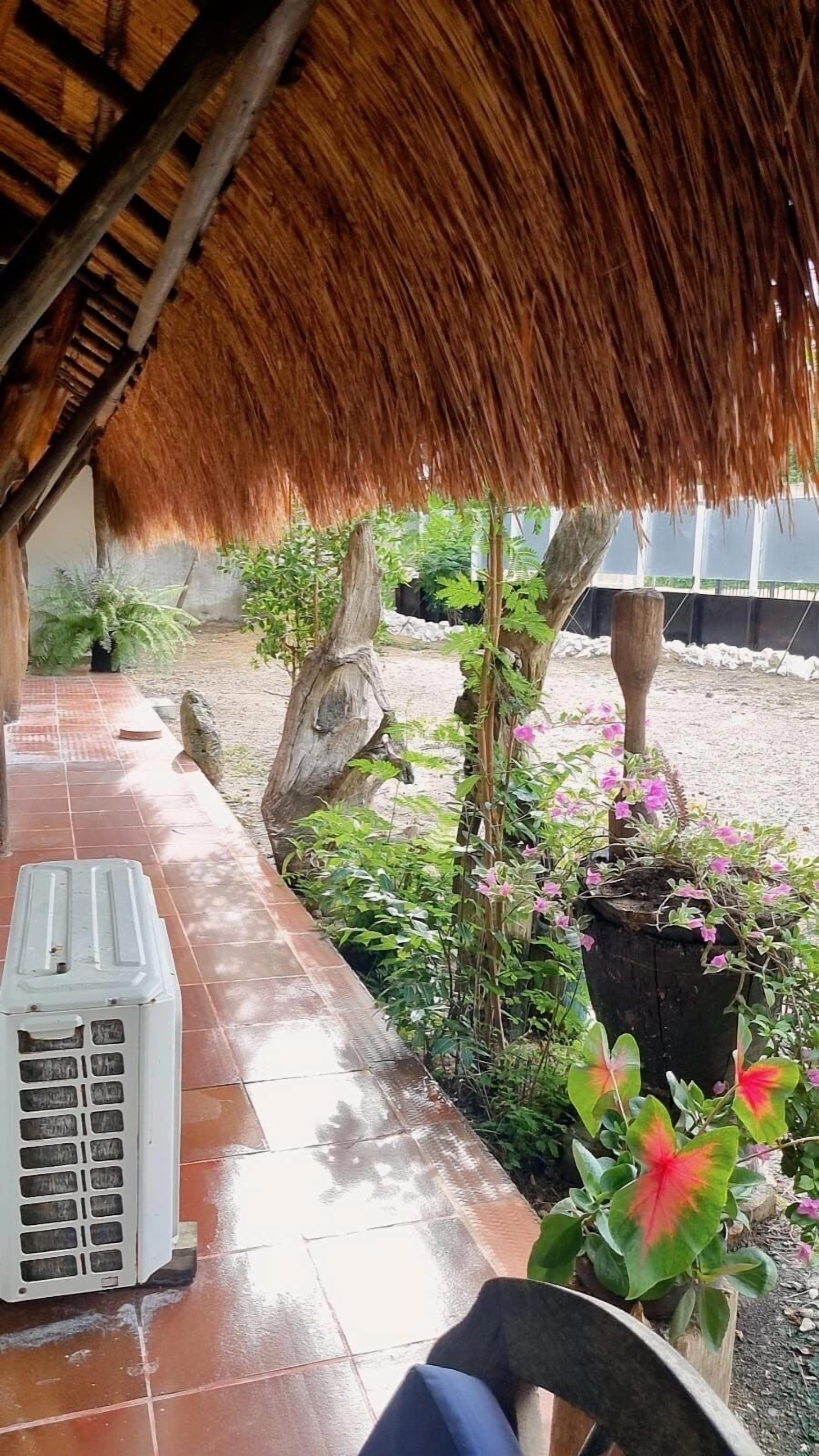 Foto - El refugio del tiburón