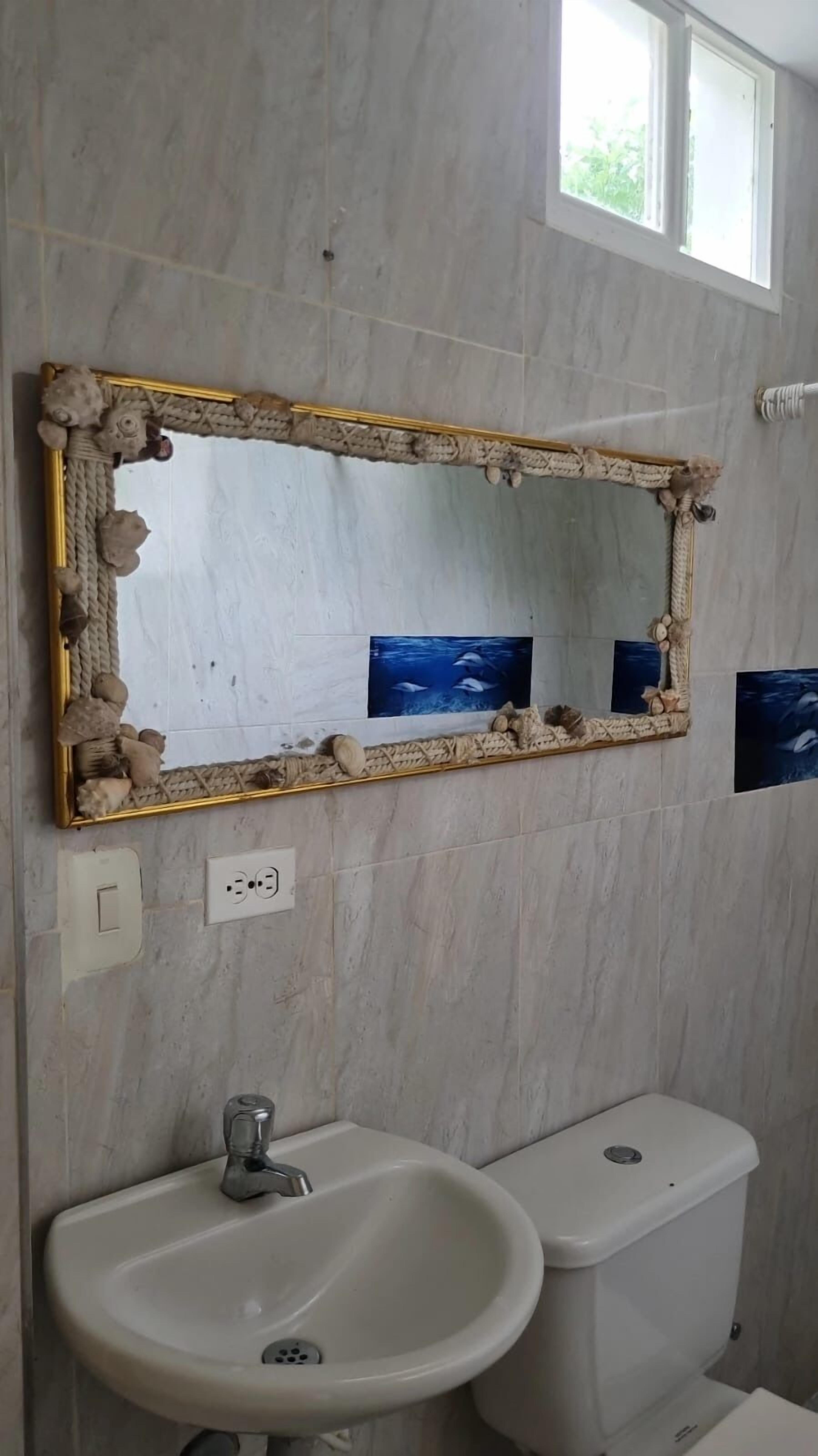 Foto - El refugio del tiburón