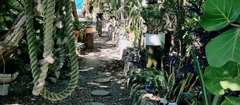 Hostal el refugio del tiburon