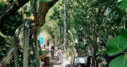 Hostal el refugio del tiburon