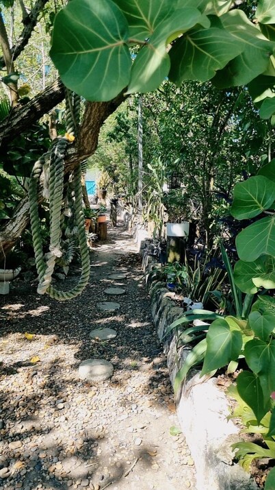 鲨鱼庇护所旅馆