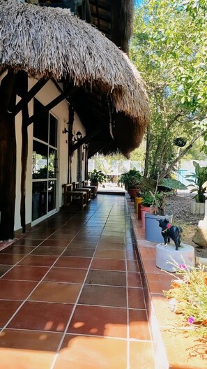 A covered outdoor seating area with a thatched roof, potted plants, and a tiled floor. - Hostal el refugio del tiburon (Cartagena)