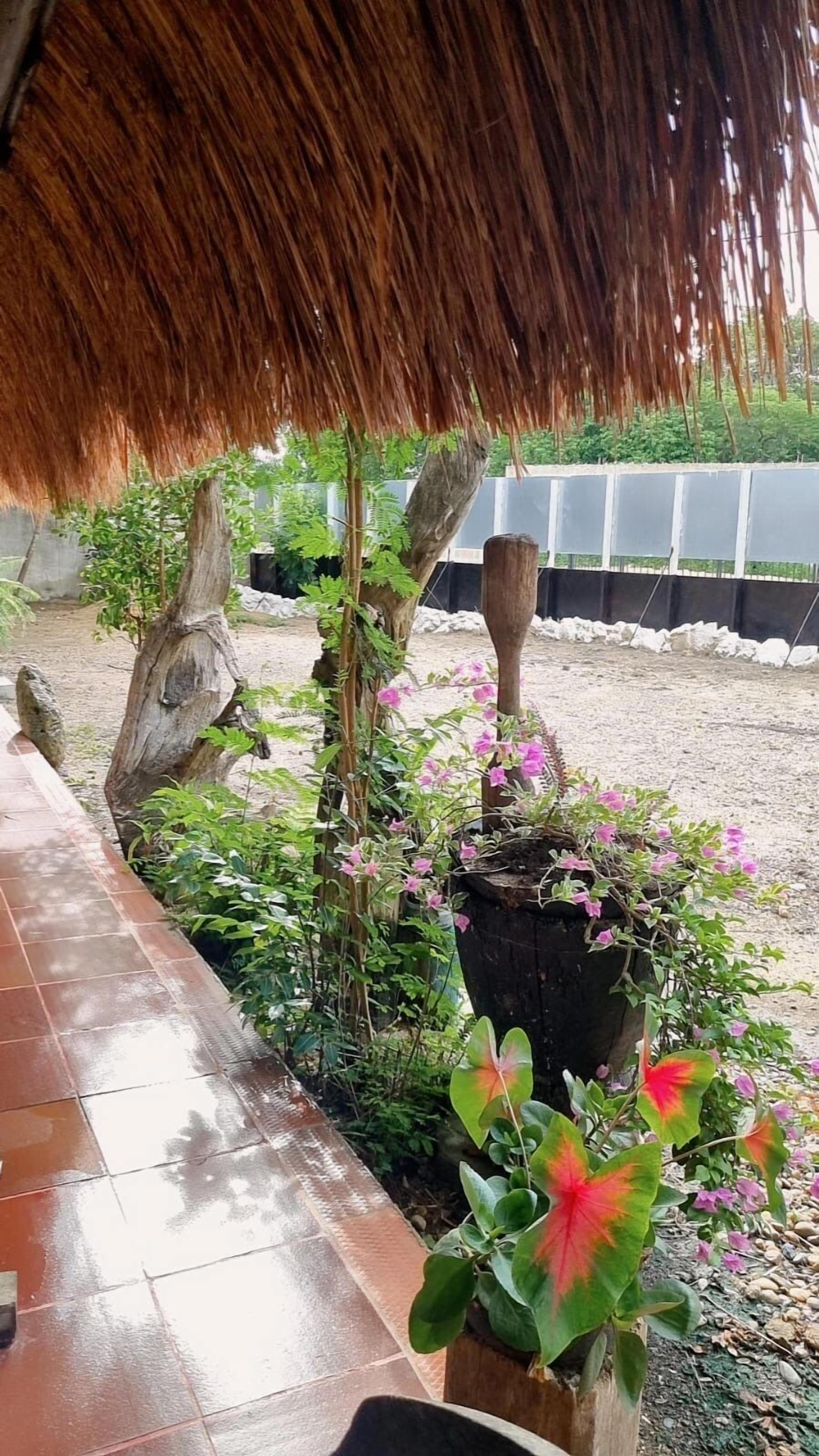 Foto - El refugio del tiburón