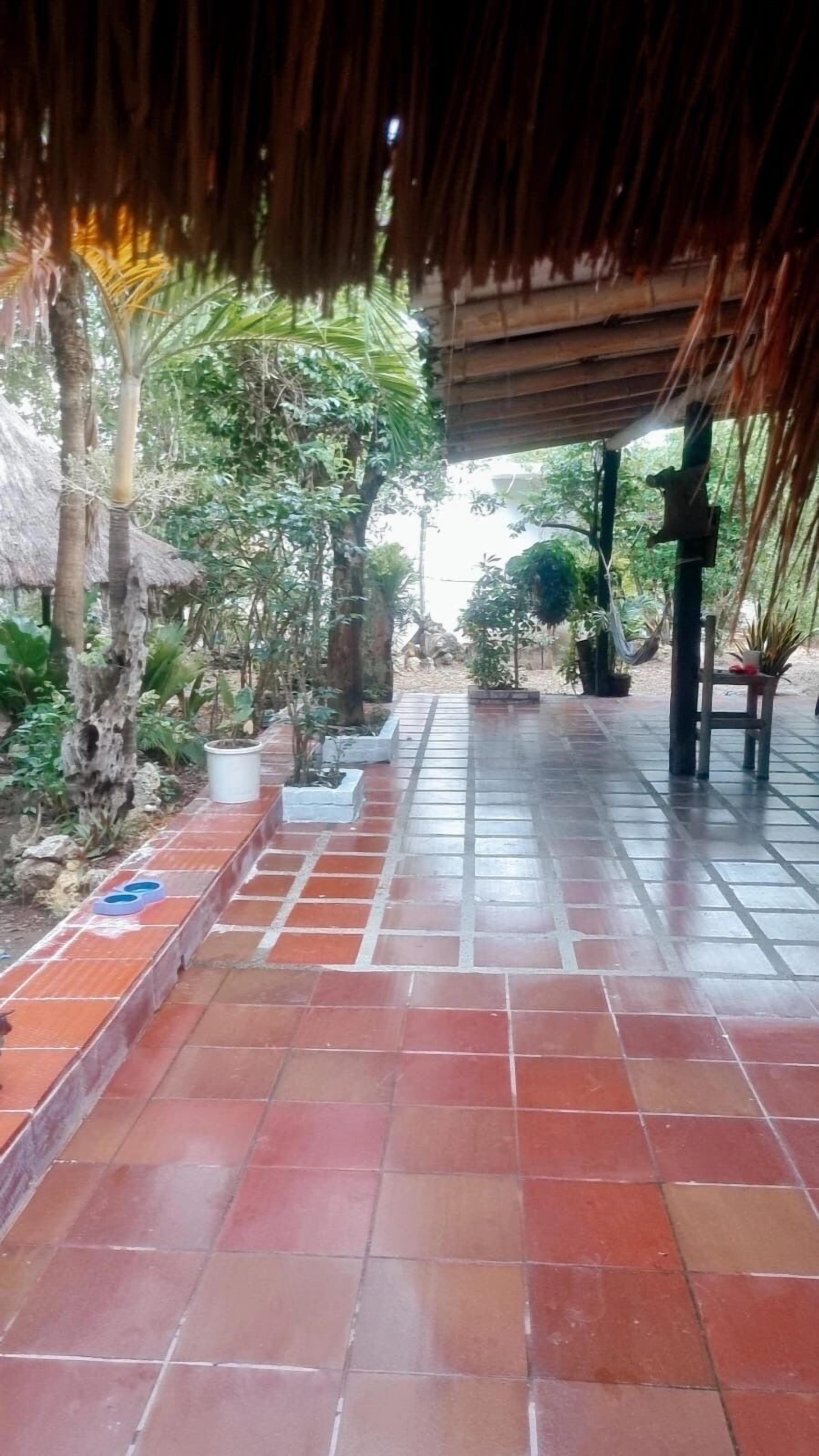 Foto - El refugio del tiburón