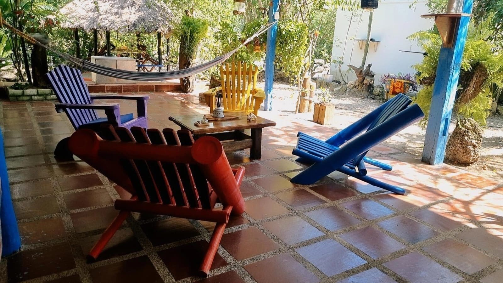 Foto - El refugio del tiburón