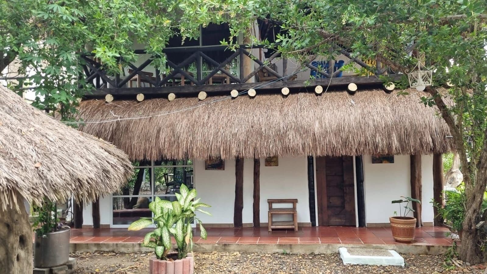 Foto - El refugio del tiburón