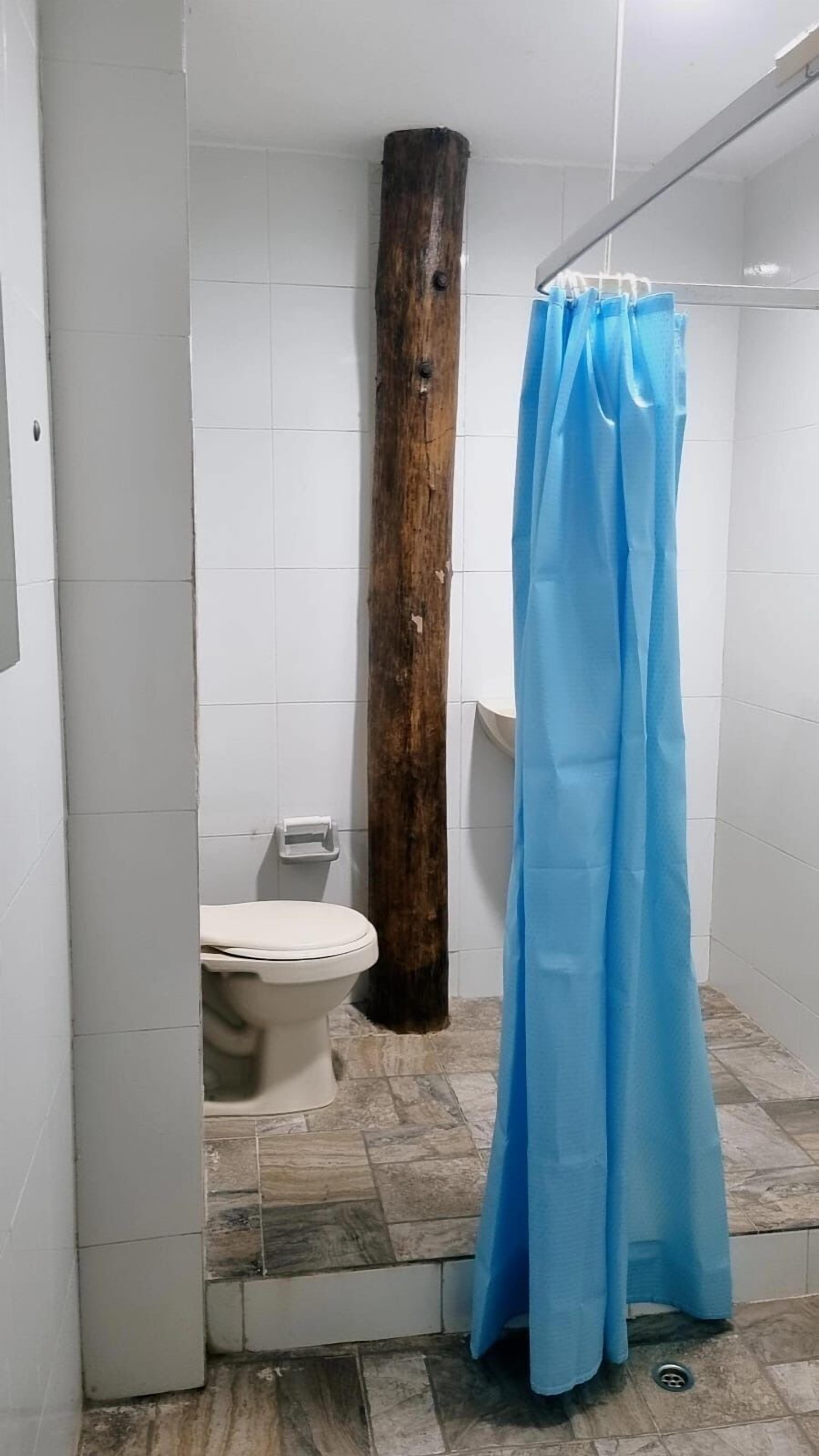 Foto - El refugio del tiburón