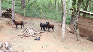 Vistas desde el alojamiento