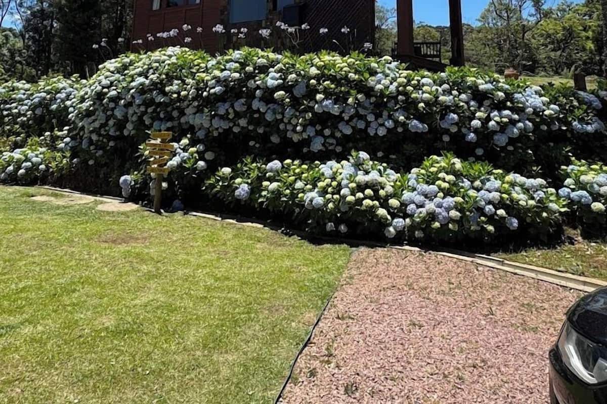 Deluxe-Doppelzimmer, Bergblick | Unterkunftsgelände